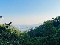 -大屏嶂森林公园