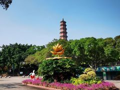-广州莲花山旅游区