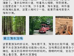-日照海滨国家森林公园