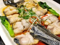 -莲花餐饮(高新店)