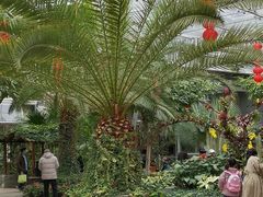 -北京植物园-展览温室