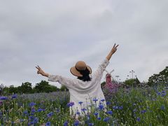 -同里国家湿地公园