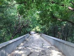 -北京鹫峰国家森林公园
