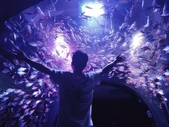 -成都浩海立方海洋公园