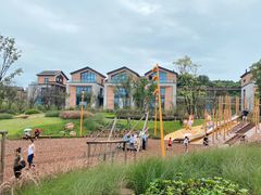 -铁山坪森林公园