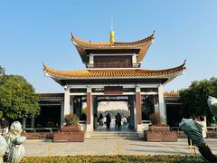 -橘子洲景区