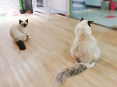 -iF摄影•全家福•证件照•形象照(南山店)