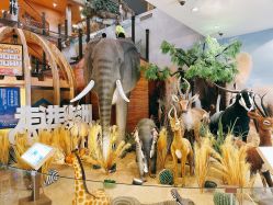 -卡通尼·Safari非洲探索乐园·生日会(金桥国际商业广场店)