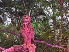 -广州长隆国际大马戏