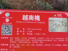 -广西壮族自治区药用植物园