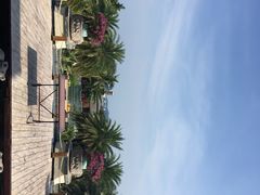 -小猫钓鱼海钓俱乐部(椰梦长廊店)