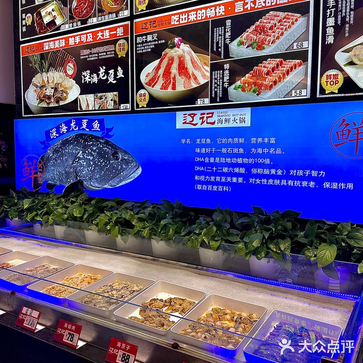 大连！首家！可以吃到深海龙趸鱼🐟的店！
