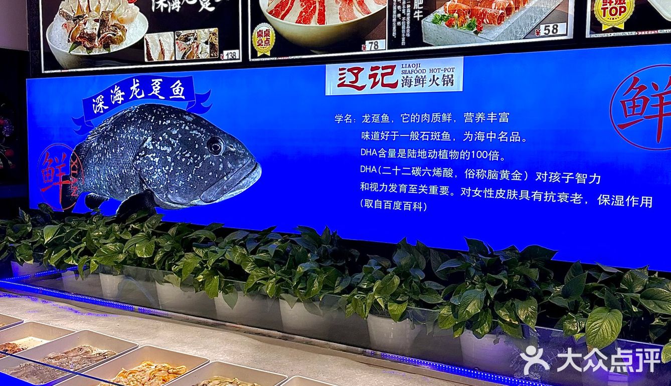 大连!首家!可以吃到深海龙趸鱼🐟的店!