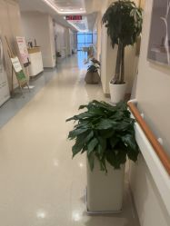 -杭州海亮医院 · 禾芸嘉医美中心