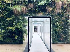 -金泽21世纪美术馆