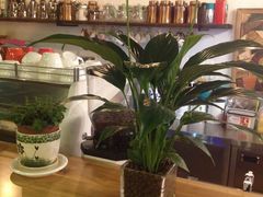 -欧典咖啡屋(台东店)