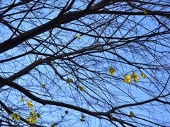 -华南国家植物园-售票处