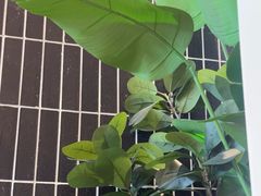 -盐集·料理食堂(江北活力源店)