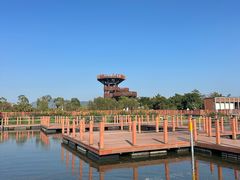 -芒洲湿地公园