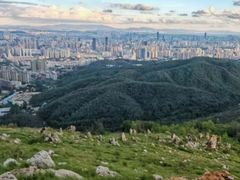 -长虫山生态公园风景林