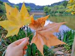-黔灵山公园