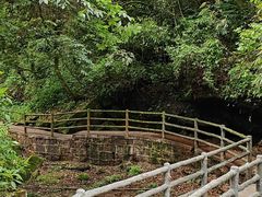 -中国大熊猫保护研究中心雅安碧峰峡基地