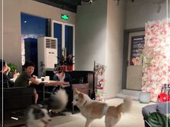 -百好乐宠物友好餐厅(朝外大街店)