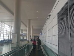 -上海浦东国际机场-T2航站楼