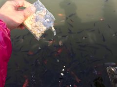 -茂陵博物馆