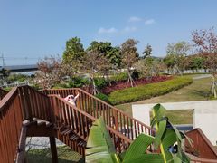 -宝安西湾红树林湿地公园