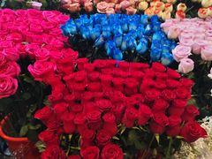 -越秀西湖花市(广州城市广场花卉店)