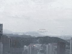 -君悦酒店·大堂酒吧·高空下午茶·暮色微醺