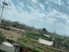 -翠田Green Field Kitchen