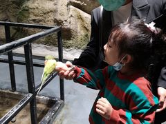 -zoonana室内动物园(东方福来德店)