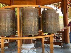 -上海东林寺(金山区)
