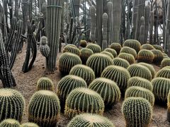 -南山植物园