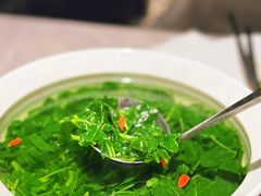 泉水时蔬-醉庐·新上海菜(南京西路店)