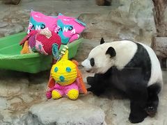 -海南热带野生动植物园