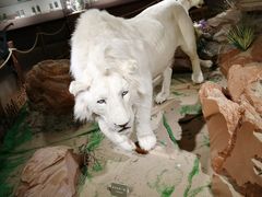 -陕西自然博物馆