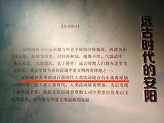 -安阳博物馆