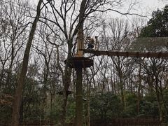 -WeLope紫金山探险公园