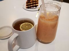 -吉丁鸟咖·异宠·寄养