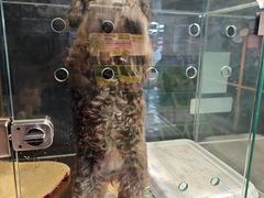 -FAELING PETS美天灵宠物(富力广场店)