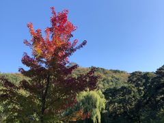 -香山公园