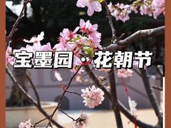 -宝墨园景区