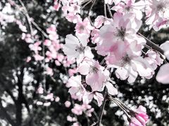 -中南财经政法大学(首义校区)