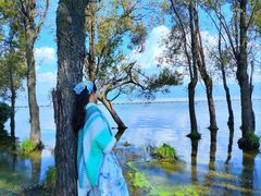 -洱海月湿地公园