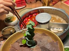 -巴奴毛肚火锅(京西大悦城店)