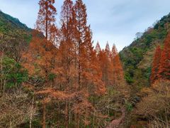 -天明山温泉大酒店