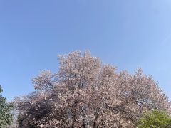 -西安交大南洋大酒店(交通大学青龙寺店)